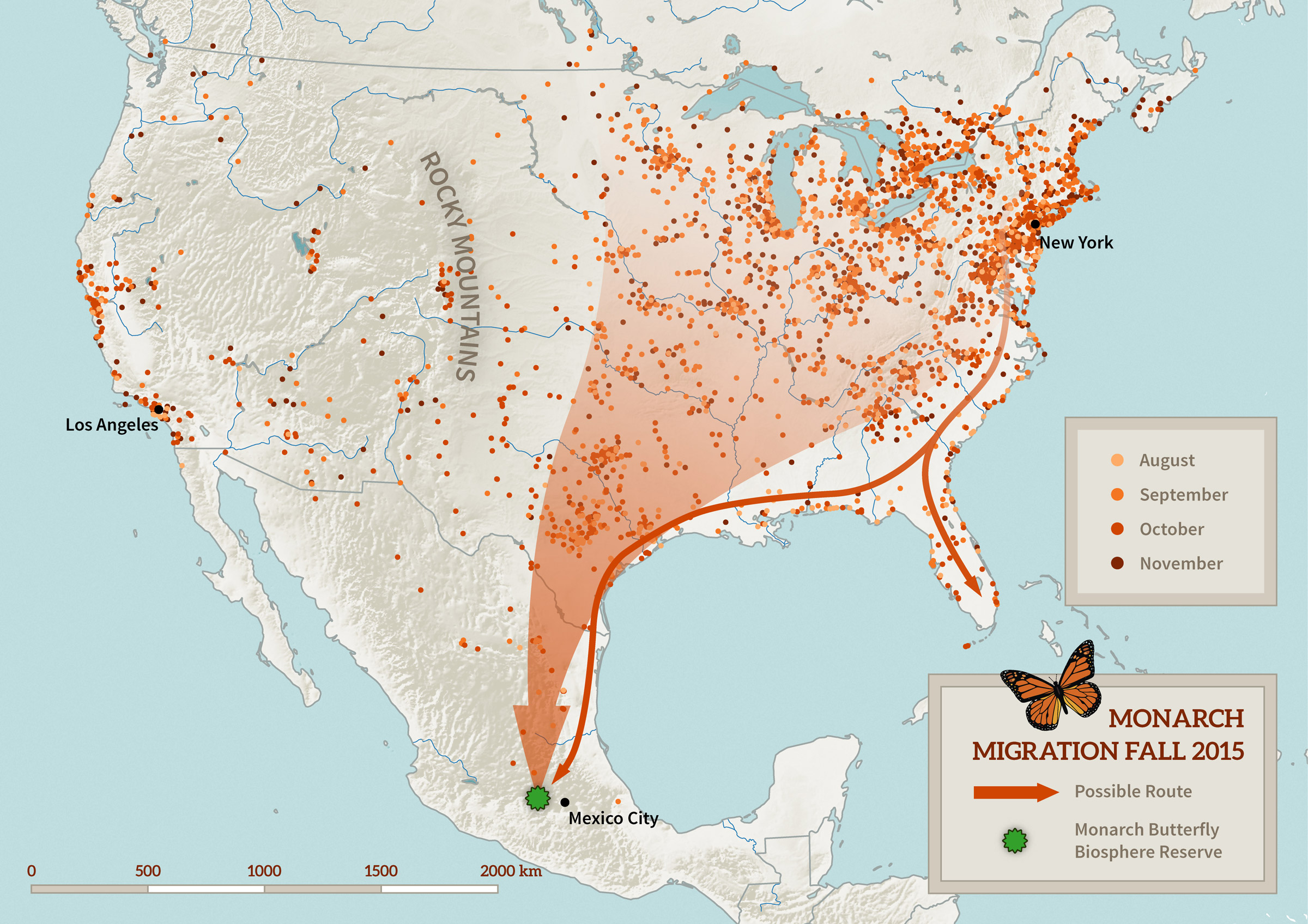 Monarch Migration Fall
